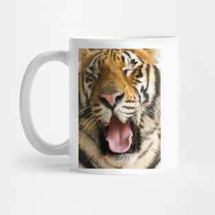 717 panthera Tigris Mug